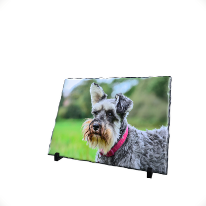 High Gloss Panoramic Slate 20cm x 30cm High Gloss Panoramic Slate 20cm x 30cm