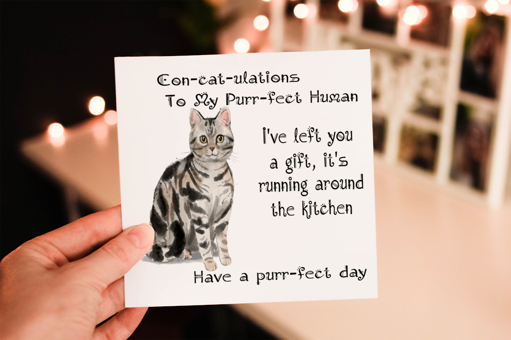 Cerdyn Pen-blwydd Cath Tabby American Shorthair Arian