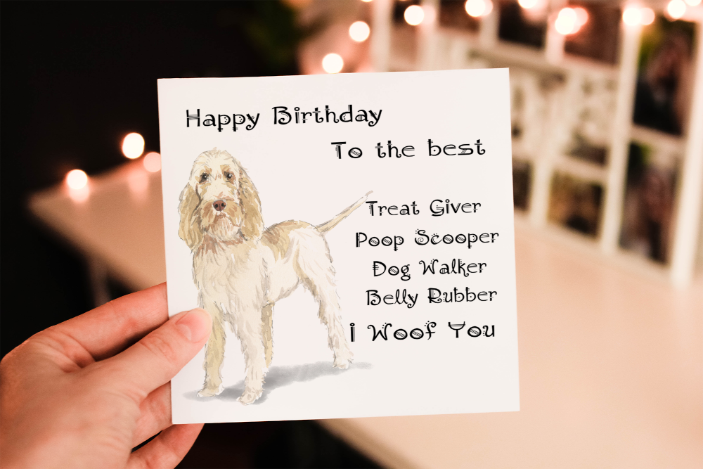 Cerdyn Pen-blwydd Ci Spinone Italiano