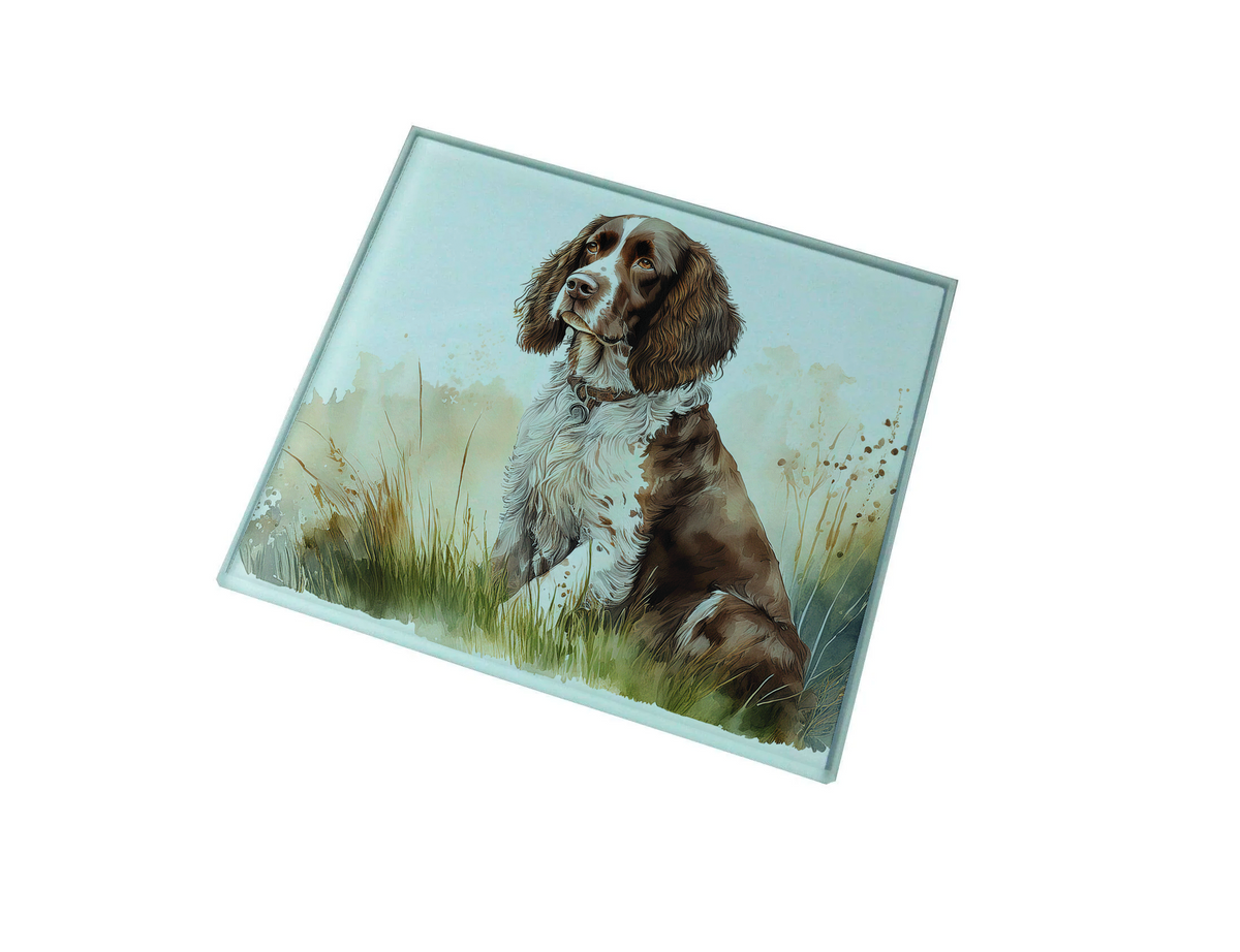 Gwaith celf ar fat diod gwydr yn dangos ci Spaniel brown a gwyn yn eistedd mewn glaswellt
