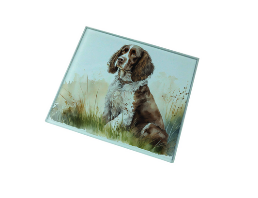Gwaith celf ar fat diod gwydr yn dangos ci Spaniel brown a gwyn yn eistedd mewn glaswellt