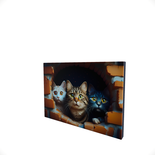 Cats in Wall.... Glossy Aluminium Print Cats in Wall.... Glossy Aluminium Print