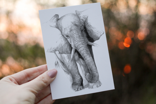 Elephant Birthday Card, Elephant Custom Birthday Card Elephant Birthday Card, Elephant Custom Birthday Card