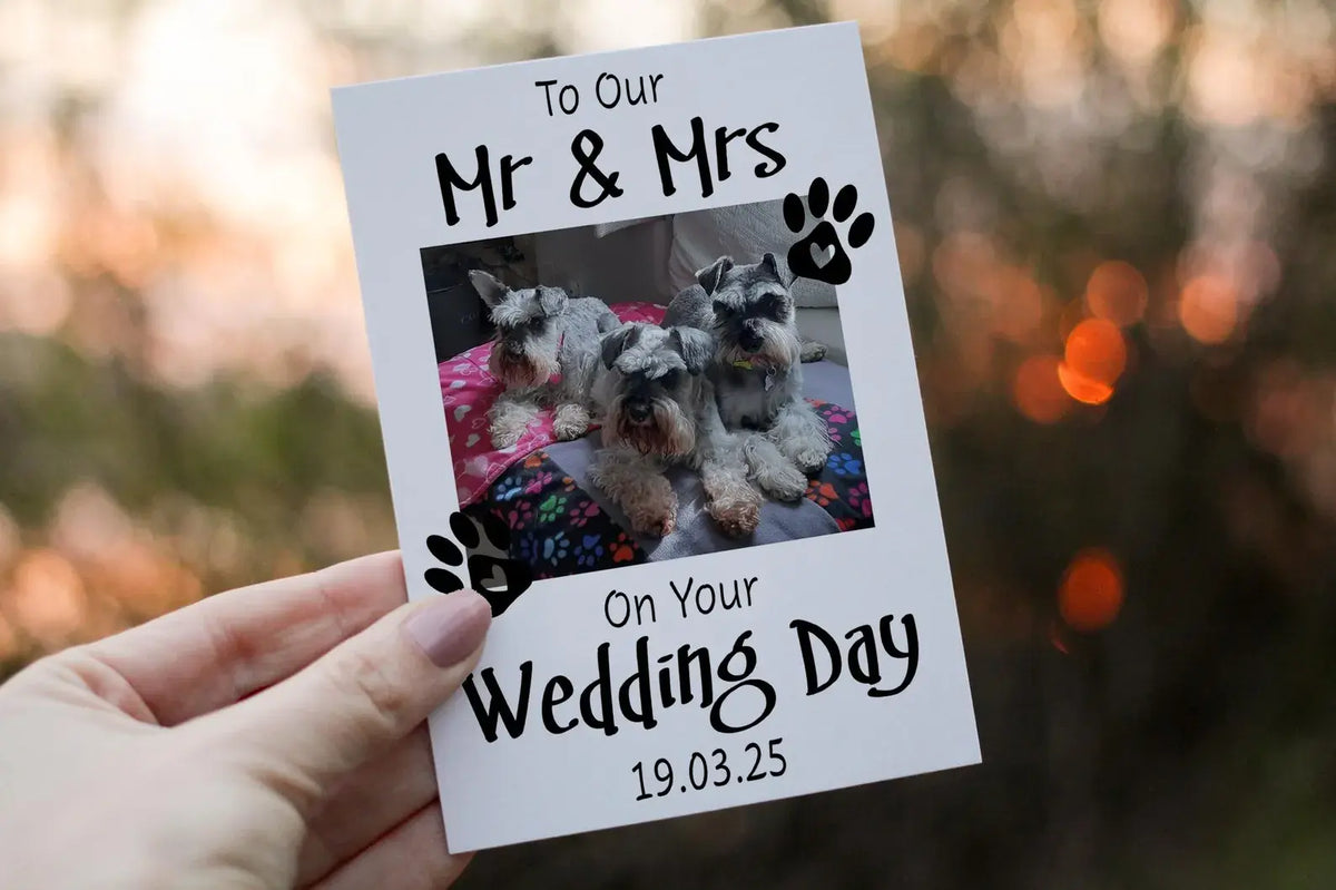 Cerdyn Priodas Llun Anifail Anwes – Mr & Mrs
