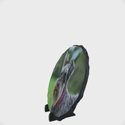 Llechen Grwn Sgleiniog Uchel 15cm