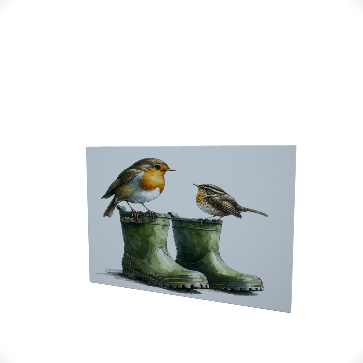 Robin and Wellies.... Glossy Aluminium Print Robin and Wellies.... Glossy Aluminium Print